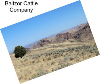 Baltzor Cattle Company