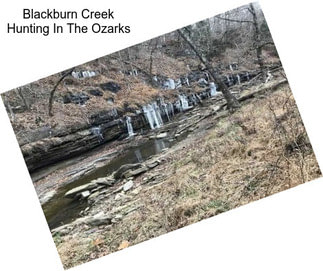 Blackburn Creek Hunting In The Ozarks