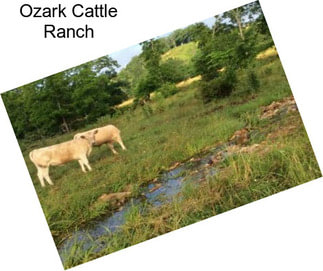 Ozark Cattle Ranch