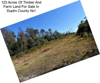 123 Acres Of Timber And Farm Land For Sale In Duplin County Nc!