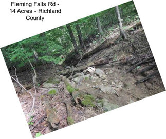 Fleming Falls Rd - 14 Acres - Richland County