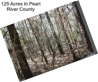 125 Acres In Pearl River County