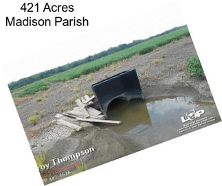 421 Acres Madison Parish