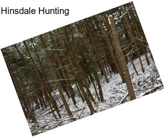 Hinsdale Hunting