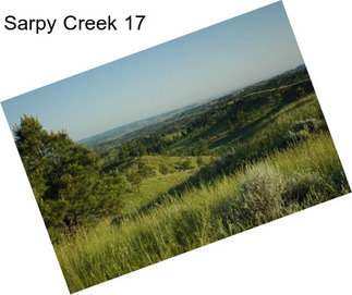 Sarpy Creek 17
