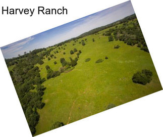 Harvey Ranch