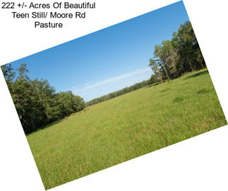 222 +/- Acres Of Beautiful Teen Still/ Moore Rd Pasture