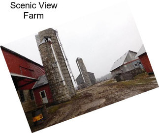 Scenic View Farm