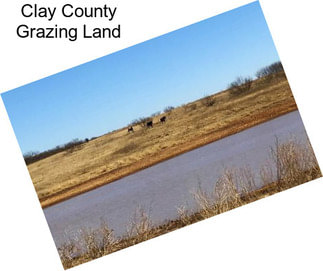 Clay County Grazing Land