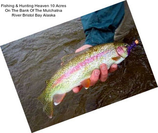 Fishing & Hunting Heaven 10 Acres On The Bank Of The Mulchatna River Bristol Bay Alaska