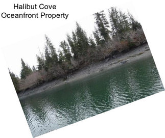 Halibut Cove Oceanfront Property