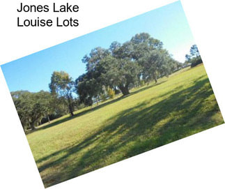 Jones Lake Louise Lots