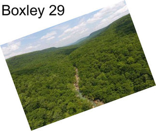 Boxley 29