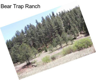 Bear Trap Ranch