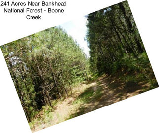 241 Acres Near Bankhead National Forest - Boone Creek