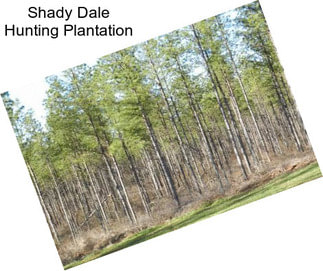 Shady Dale Hunting Plantation