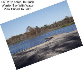 Lot, 2.82 Acres, In Black Warrior Bay With Water View Priced To Sell!!