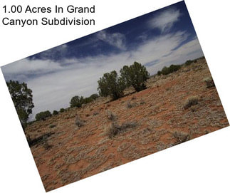 1.00 Acres In Grand Canyon Subdivision