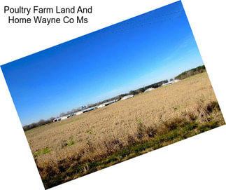 Poultry Farm Land And Home Wayne Co Ms