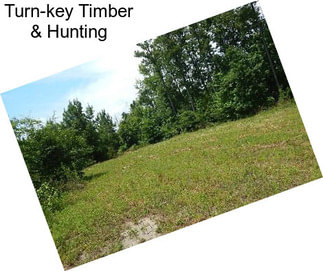 Turn-key Timber & Hunting