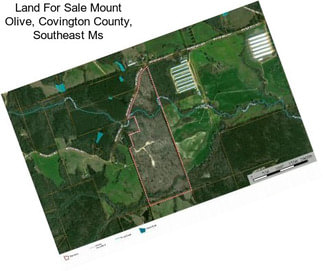 Land For Sale Mount Olive, Covington County, Southeast Ms