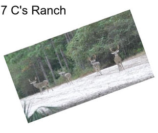 7 C\'s Ranch