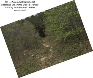 40 +/- Acres Just Outside Of Carthage Ms, Prime Deer & Turkey Hunting With Mature Timber Investment!