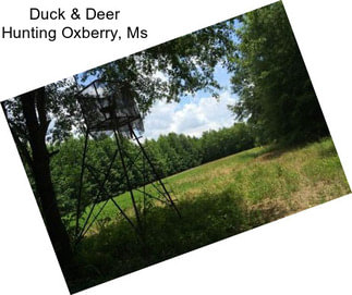 Duck & Deer Hunting Oxberry, Ms