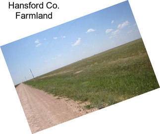 Hansford Co. Farmland