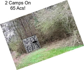 2 Camps On 65 Acs!