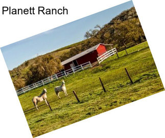 Planett Ranch