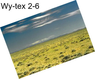 Wy-tex 2-6