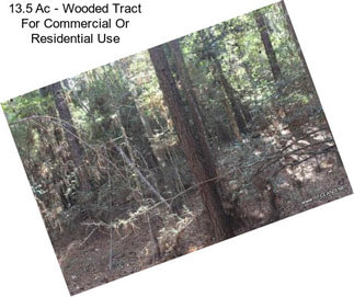 13.5 Ac - Wooded Tract For Commercial Or Residential Use