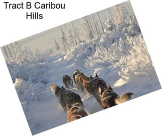 Tract B Caribou Hills