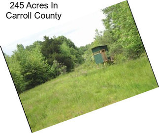 245 Acres In Carroll County