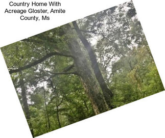 Country Home With Acreage Gloster, Amite County, Ms