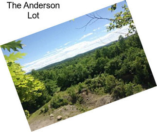 The Anderson Lot