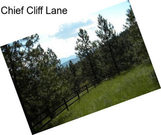 Chief Cliff Lane