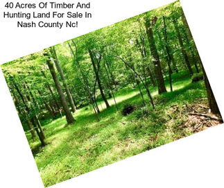 40 Acres Of Timber And Hunting Land For Sale In Nash County Nc!