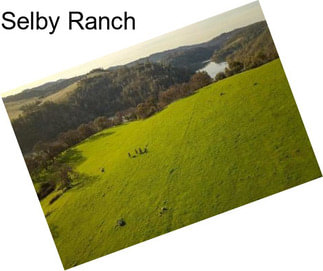 Selby Ranch