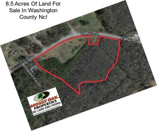 8.5 Acres Of Land For Sale In Washington County Nc!