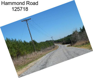 Hammond Road 125718