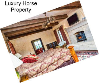 Luxury Horse Property