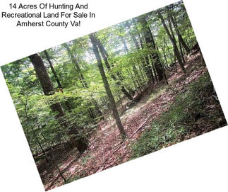 14 Acres Of Hunting And Recreational Land For Sale In Amherst County Va!
