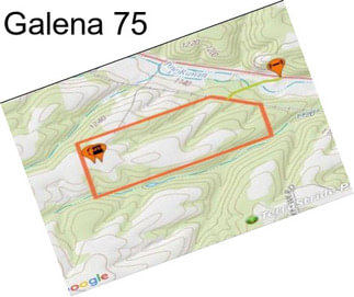 Galena 75