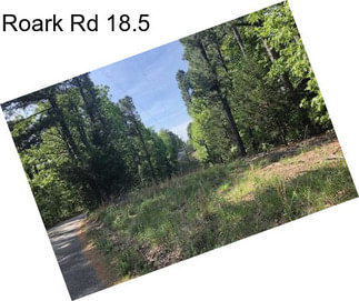 Roark Rd 18.5