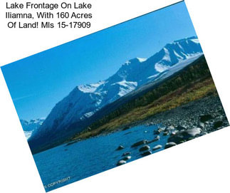 Lake Frontage On Lake Iliamna, With 160 Acres Of Land! Mls 15-17909