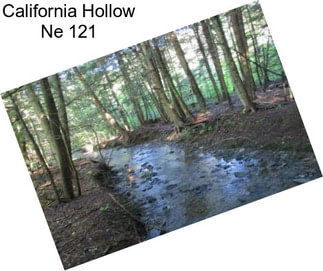 California Hollow Ne 121