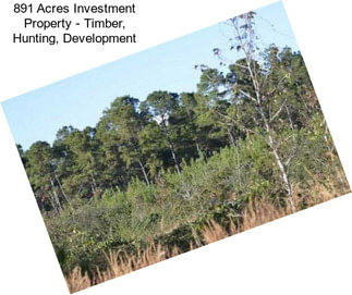 891 Acres Investment Property - Timber, Hunting, Development