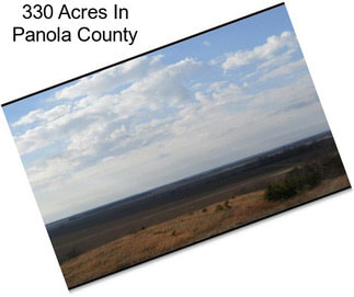 330 Acres In Panola County